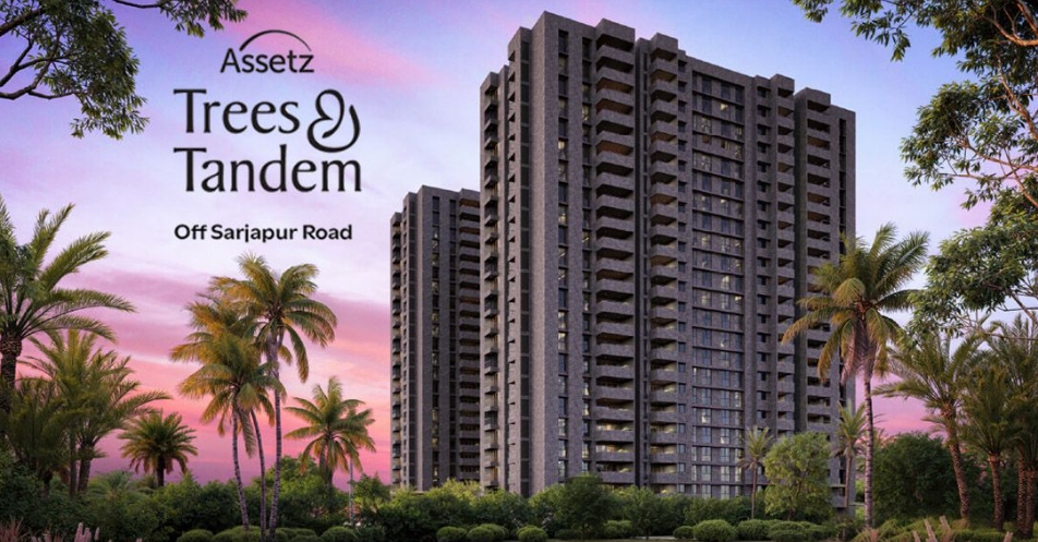 Assetz Trees and Tandem Rendering 1